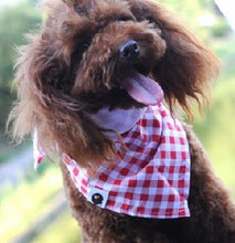 Big sale 10pcs/lot Cotton Fashion Adjustable New Dog Puppy Pet bandana Collar dog bandanas scarf Pet tie SP15-8 different choice